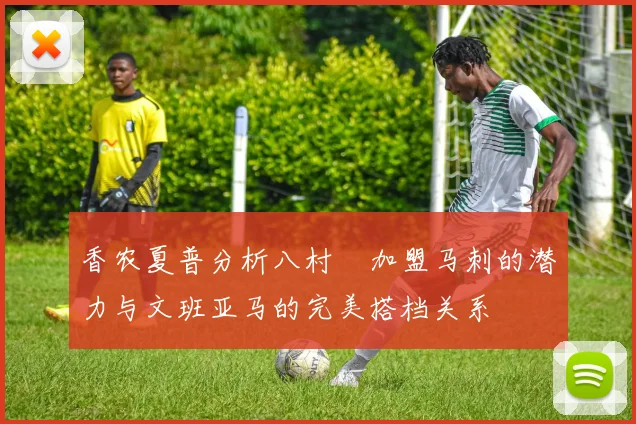 香农夏普分析八村塁加盟马刺的潜力与文班亚马的完美搭档关系