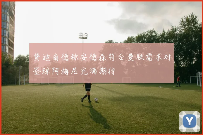 费迪南德称安德森符合曼联需求对签琼阿梅尼充满期待