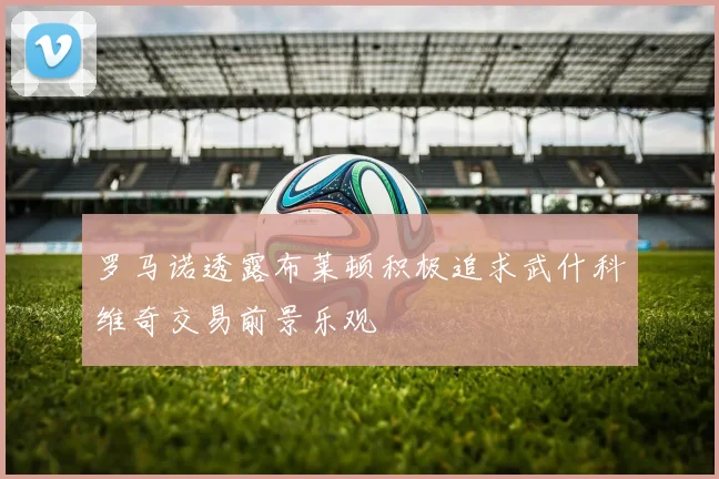 罗马诺透露布莱顿积极追求武什科维奇交易前景乐观